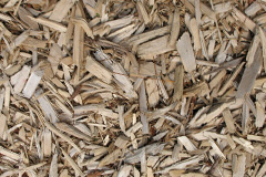 biomass boilers Birch