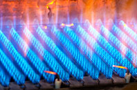 Birch gas fired boilers